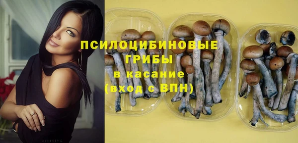ECSTASY Алексин