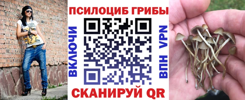 дарнет шоп  ссылка на мегу как войти  Галлюциногенные грибы мухоморы  Саки 