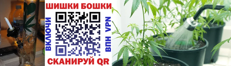 МАРИХУАНА ГИДРОПОН Саки
