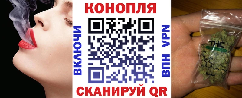 Конопля сатива  Саки 